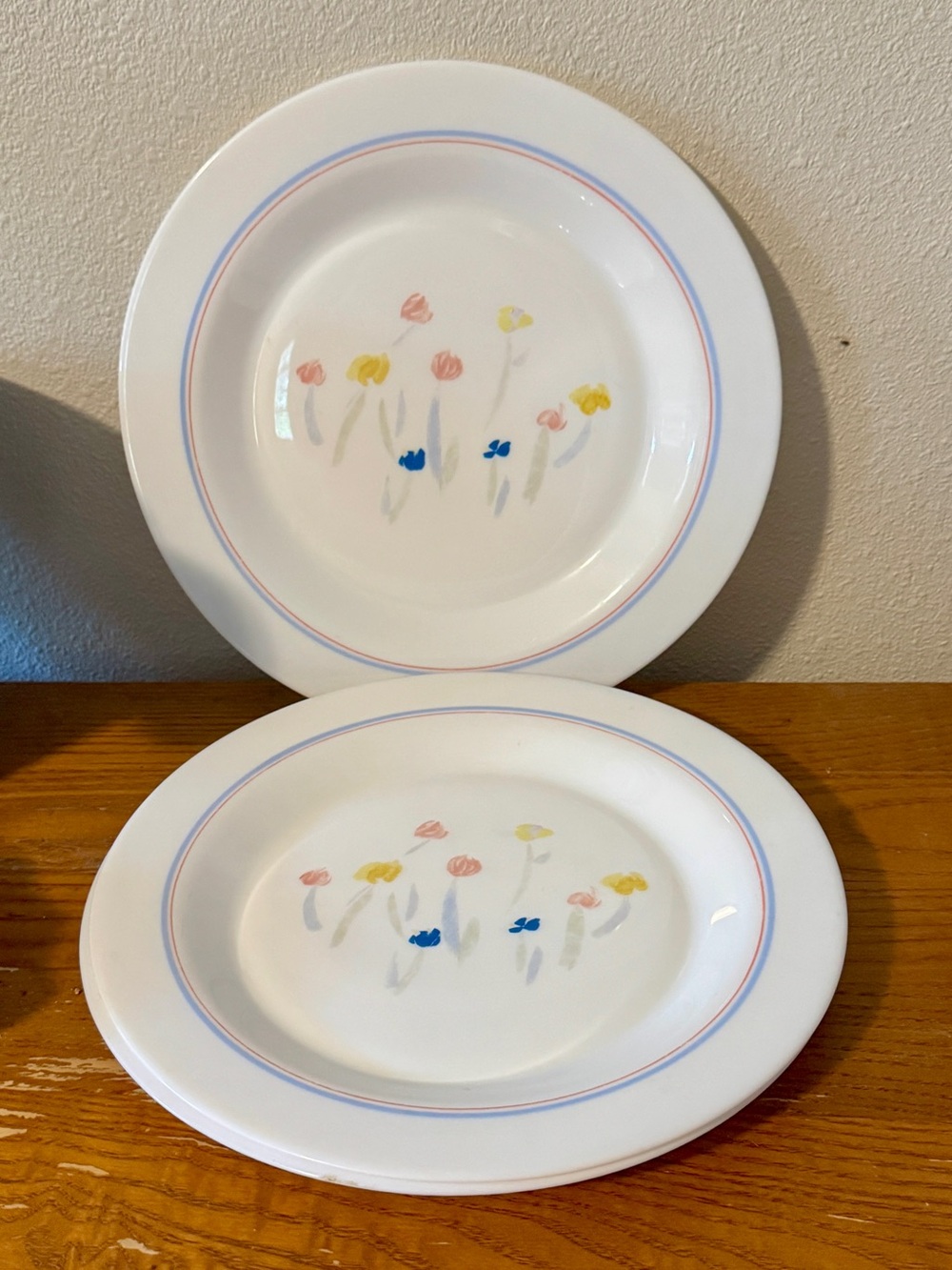 Set of 2 Vintage Arcopal France "Pastoral" Milk Glass Rimmed Dinner Plates